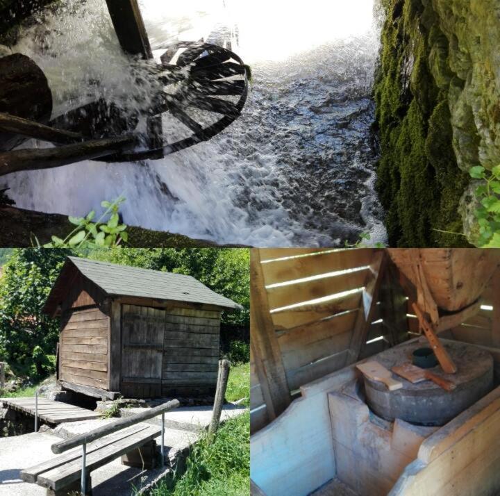Aparthotel Kopaonik Brzeće Exteriér fotografie